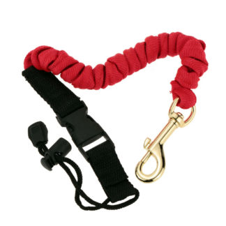Safety leash